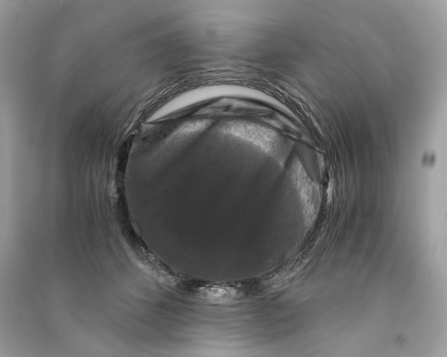 X0000090760512200708101750