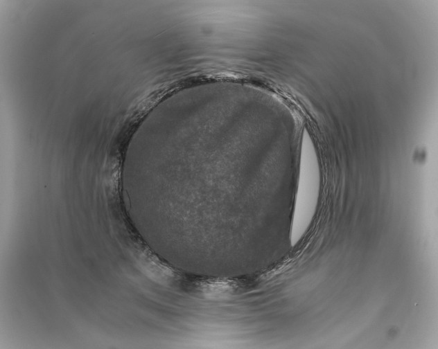 X0000090760513200708101750