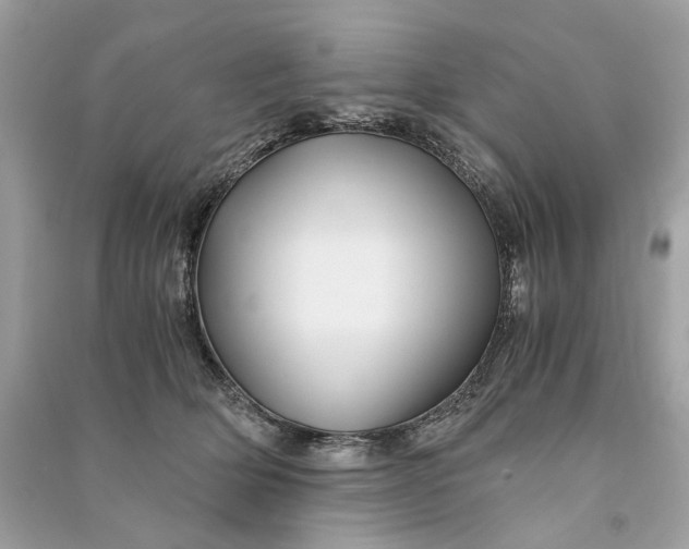 X0000090760514200708101750