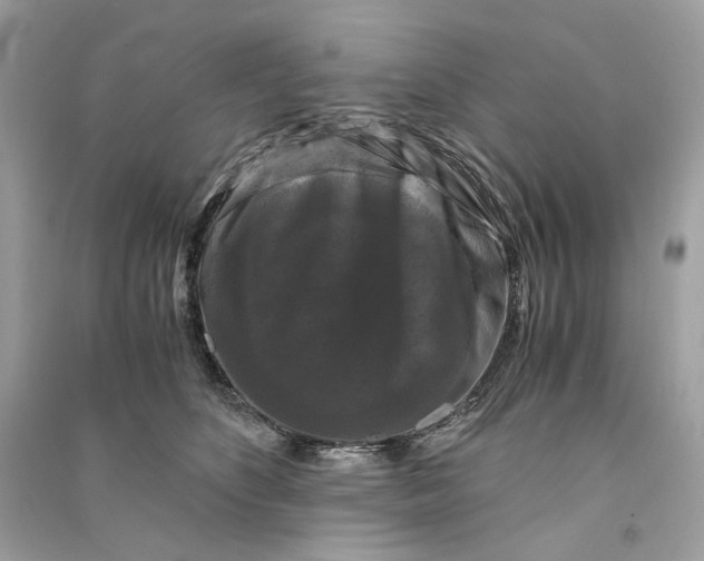 X0000090760516200708101750