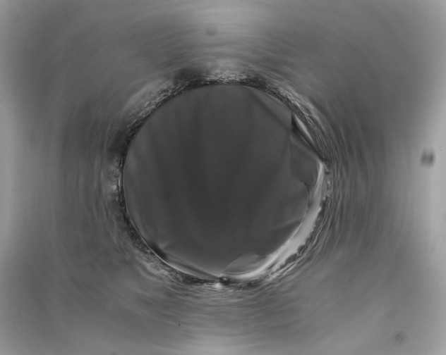 X0000090760517200708101750