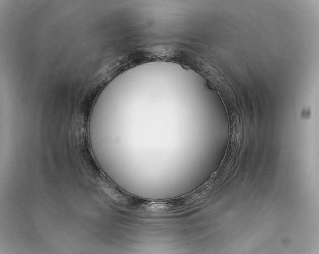 X0000090760518200708101750