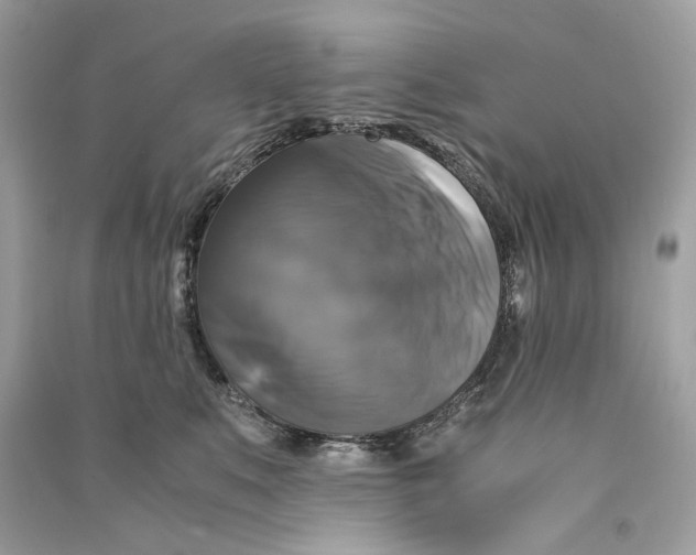 X0000090760519200708101750