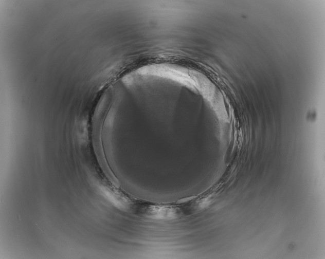 X0000090760520200708101750