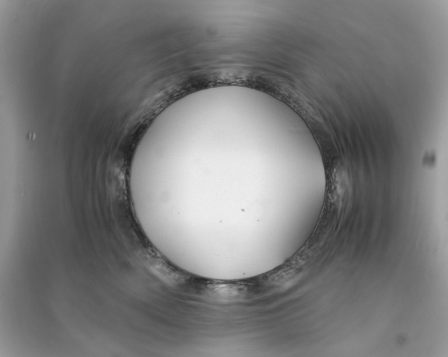 X0000090760522200708101750