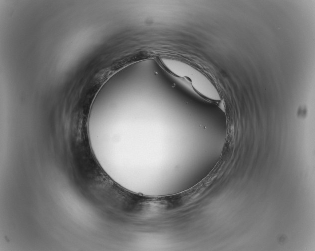 X0000090760525200708101750