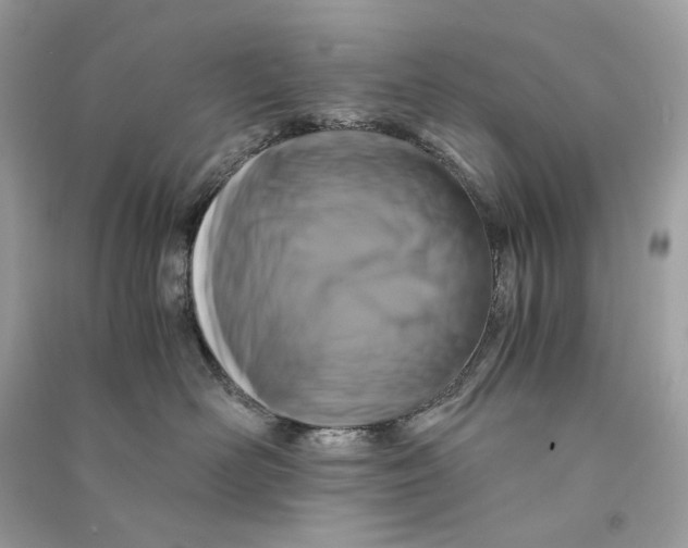 X0000090760526200708101750