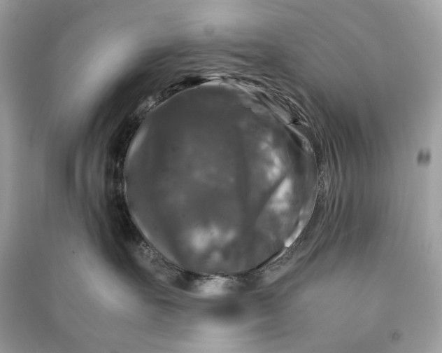 X0000090760527200708101750