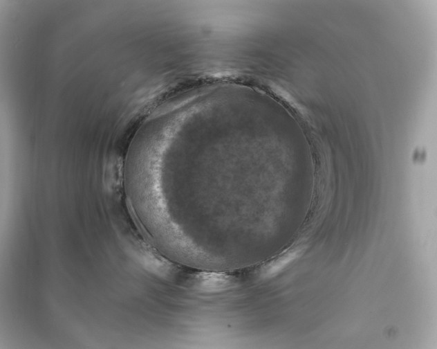 X0000090760528200708101750