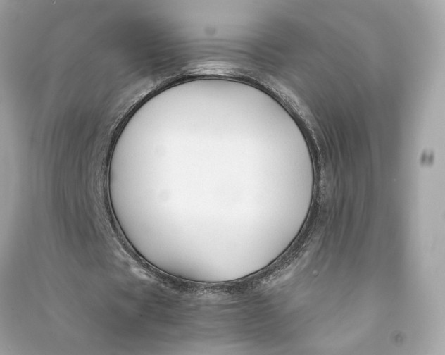 X0000090760529200708101749