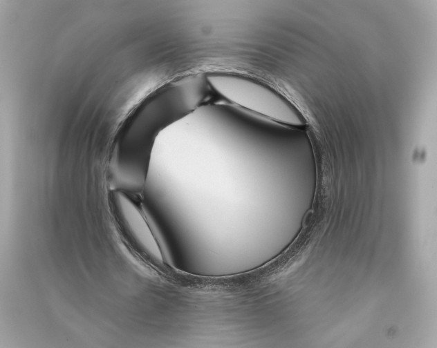 X0000090760530200708101749