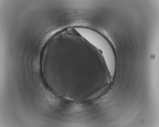 X0000090760531200708101749