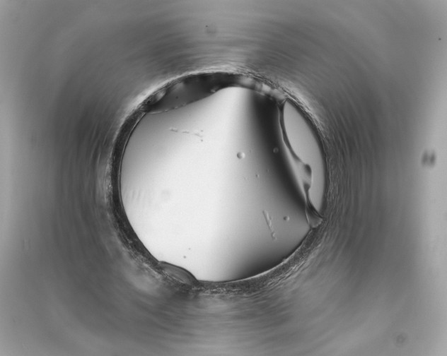 X0000090760532200708101749