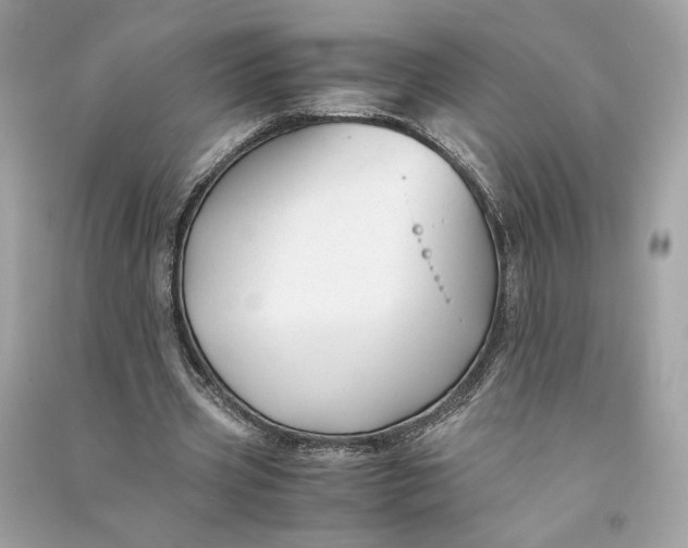 X0000090760533200708101749