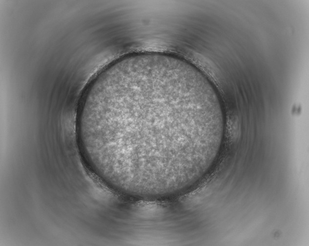 X0000090760534200708101749