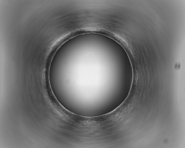 X0000090760535200708101749