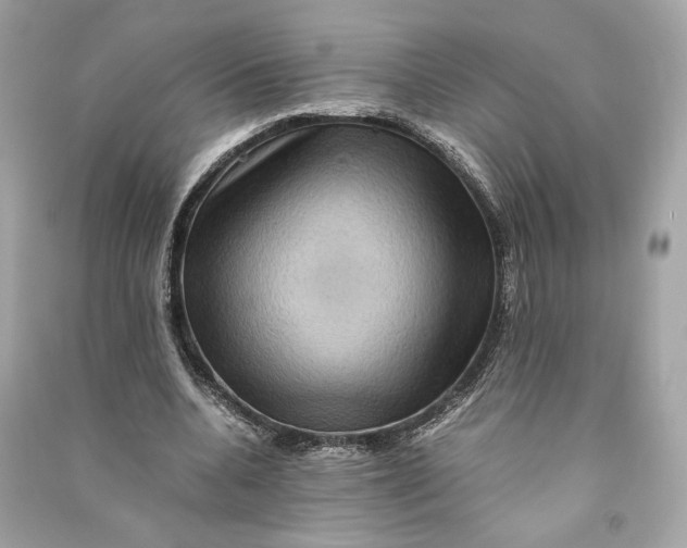 X0000090760536200708101750