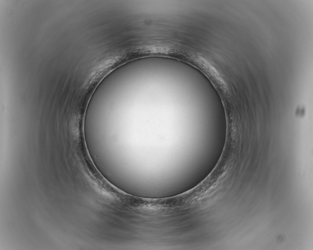 X0000090760537200708101750