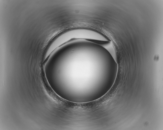 X0000090760538200708101750