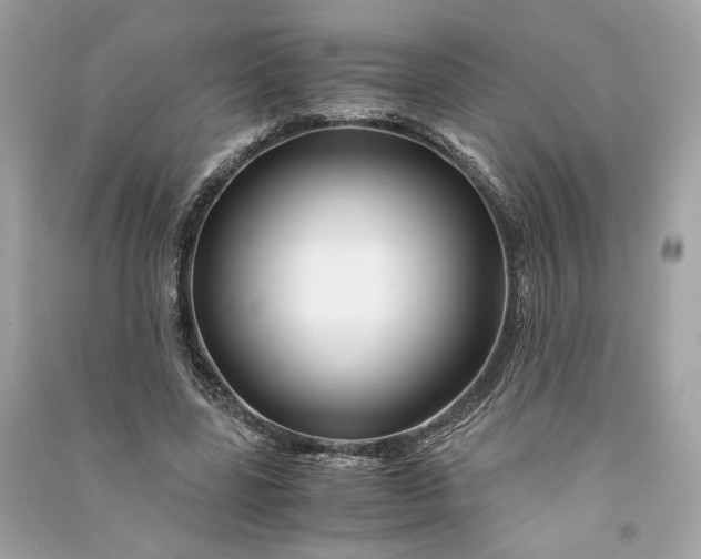 X0000090760539200708101750