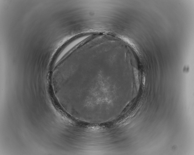 X0000090760540200708101750