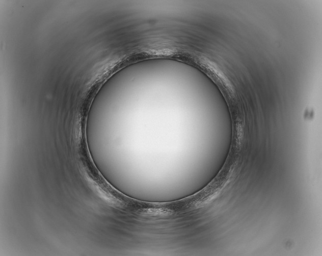 X0000090760541200708101750