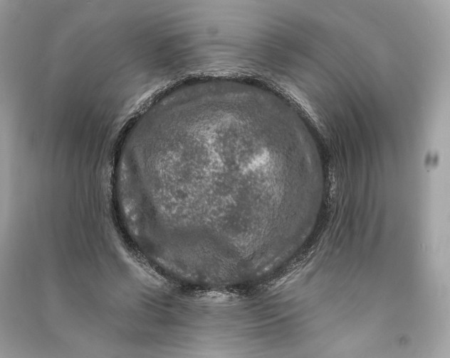 X0000090760542200708101750