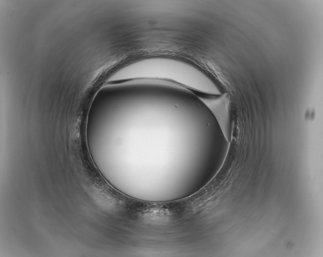 X0000090760543200708101750