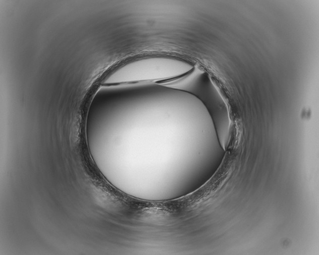 X0000090760544200708101750