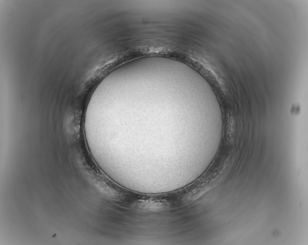 X0000090760545200708101750