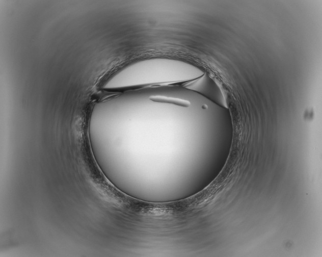 X0000090760546200708101750