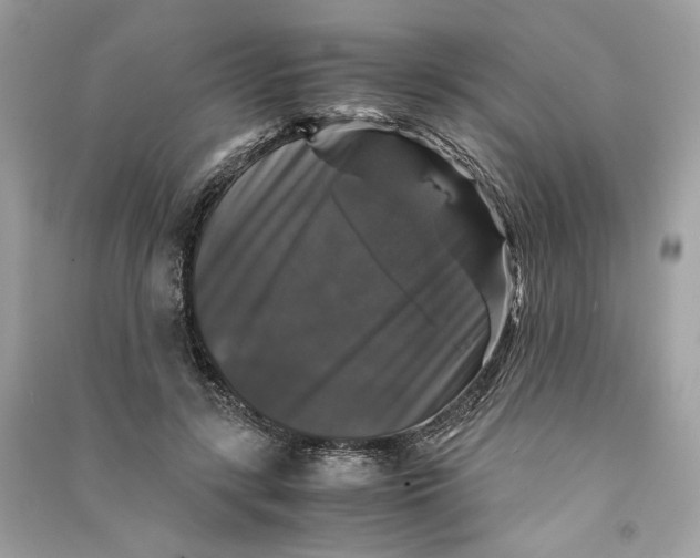 X0000090760547200708101750