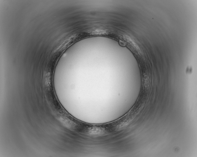 X0000090760549200708101750