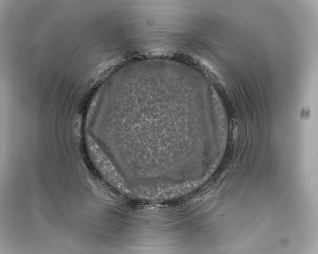 X0000090760550200708101750