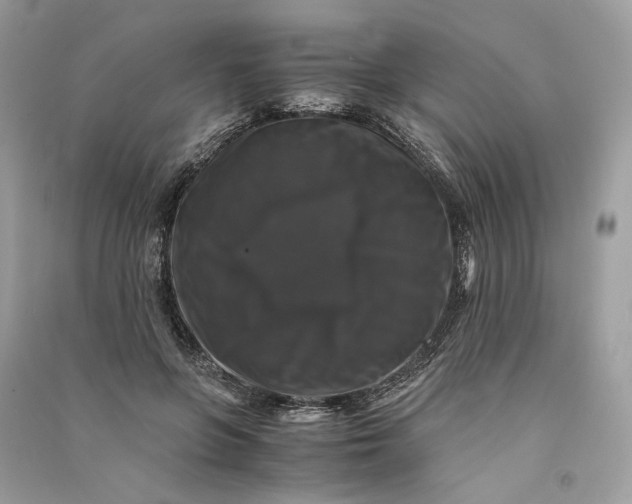 X0000090760551200708101750