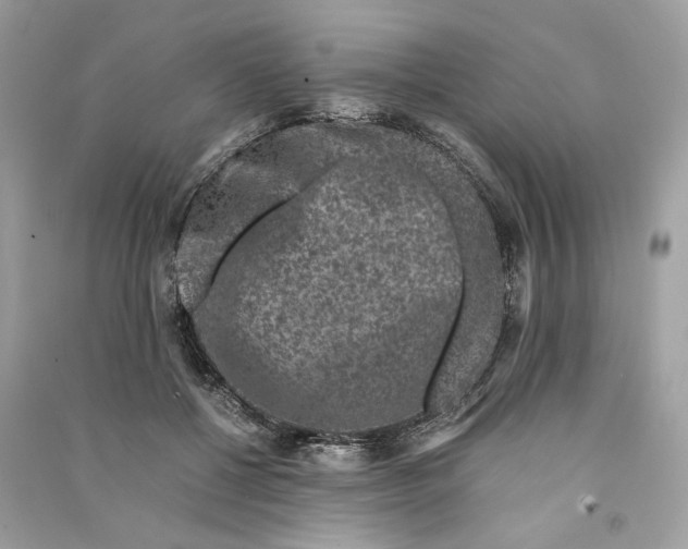 X0000090760552200708101750