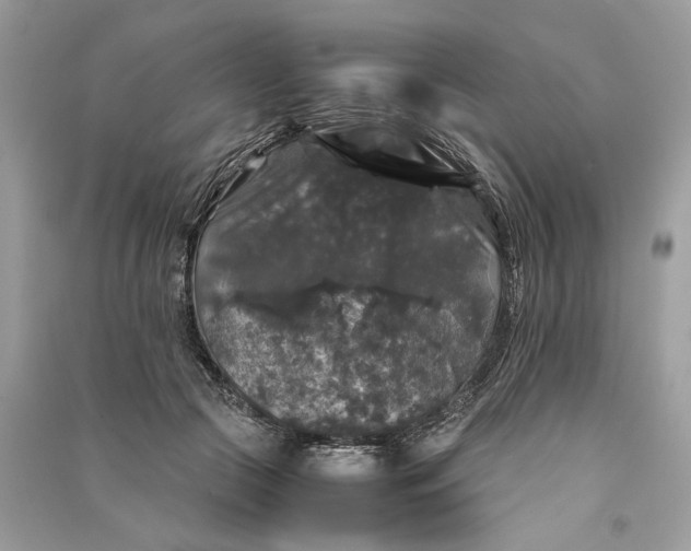 X0000090760553200708101750