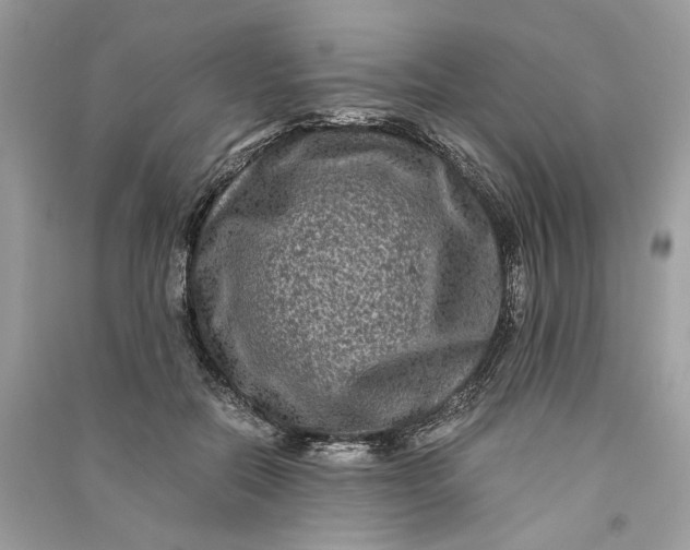 X0000090760554200708101750