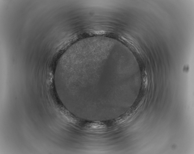 X0000090760555200708101750