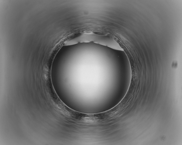 X0000090760556200708101750