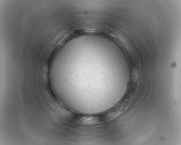 X0000090760557200708101750