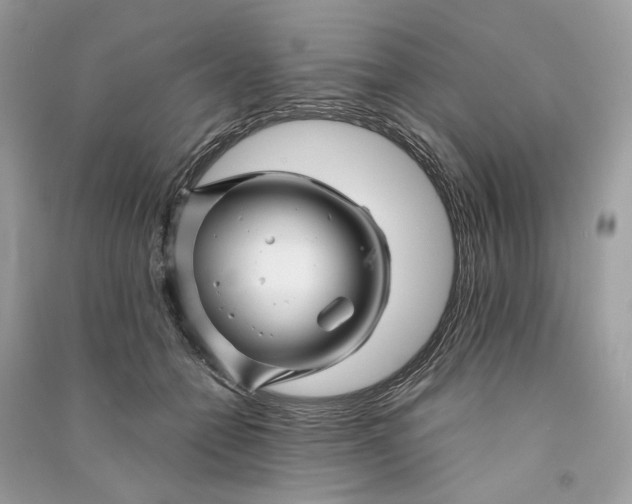 X0000090760558200708101750