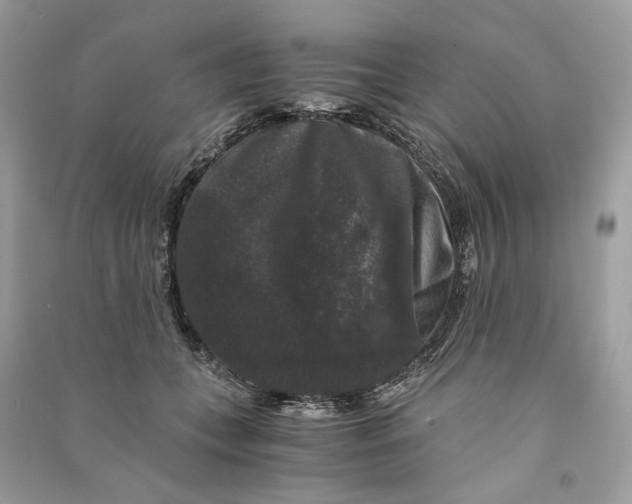 X0000090760559200708101750