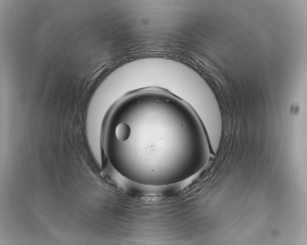 X0000090760560200708101750