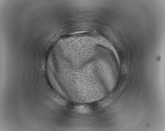 X0000090760561200708101750