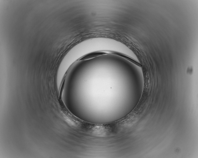 X0000090760562200708101750