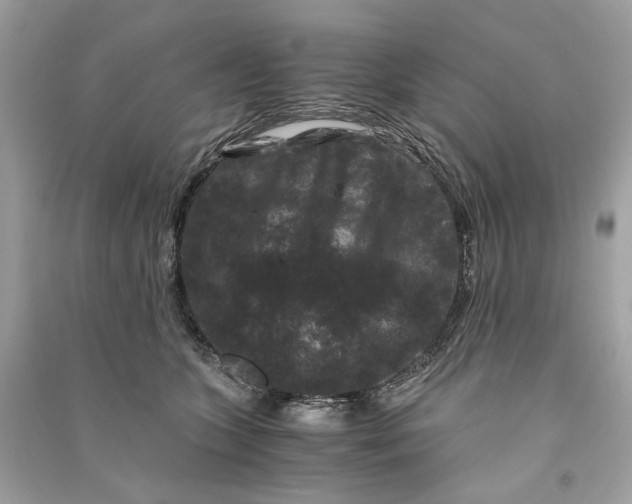 X0000090760563200708101750