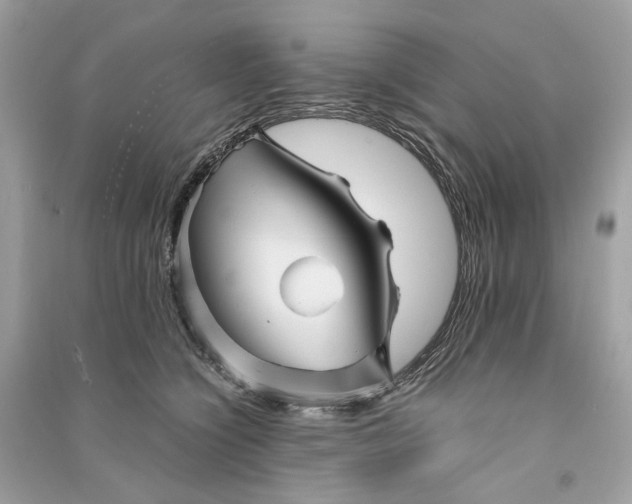 X0000090760564200708101750