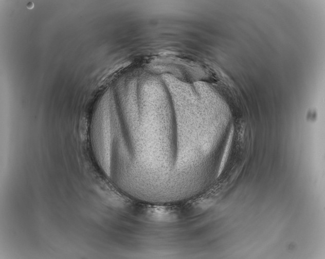 X0000090760565200708101750