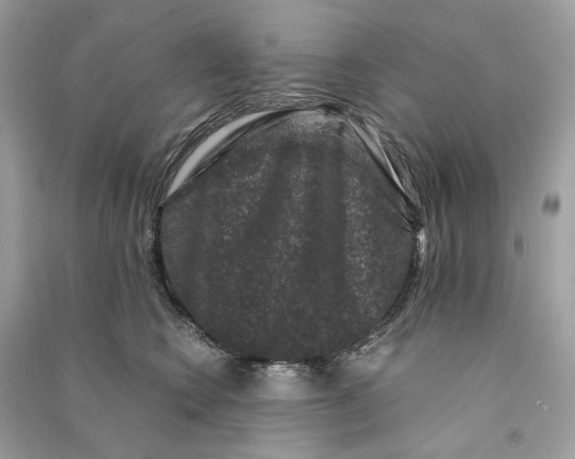 X0000090760566200708101750